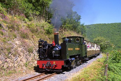 Vale of Rheidol